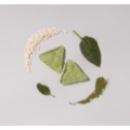 Immagine1 Valin_png.png