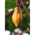 bild 7_png.png